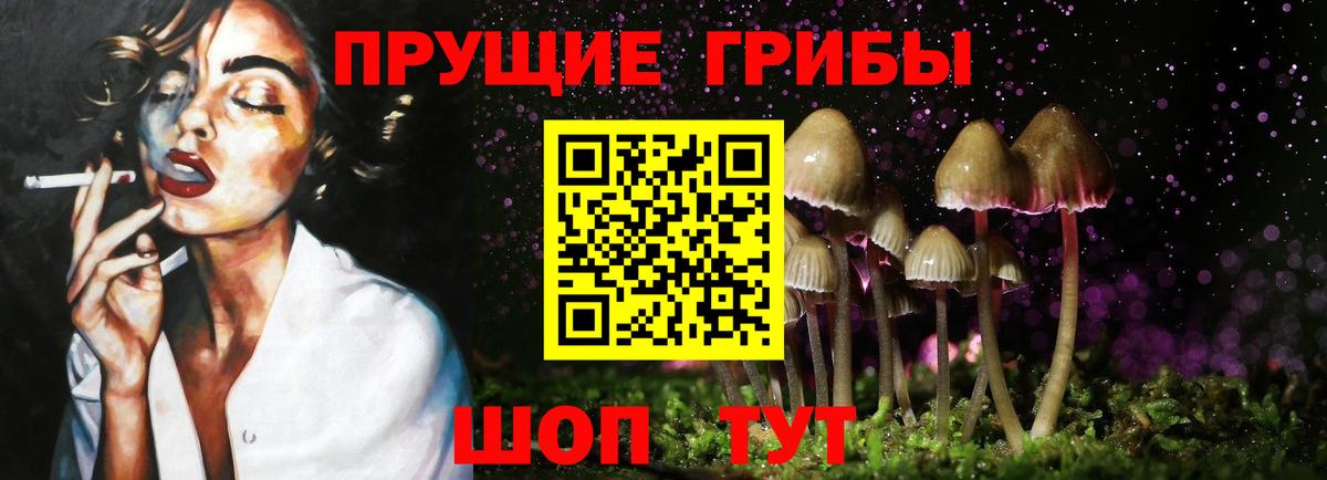 Псилоцибиновые грибы ЛСД Алейск